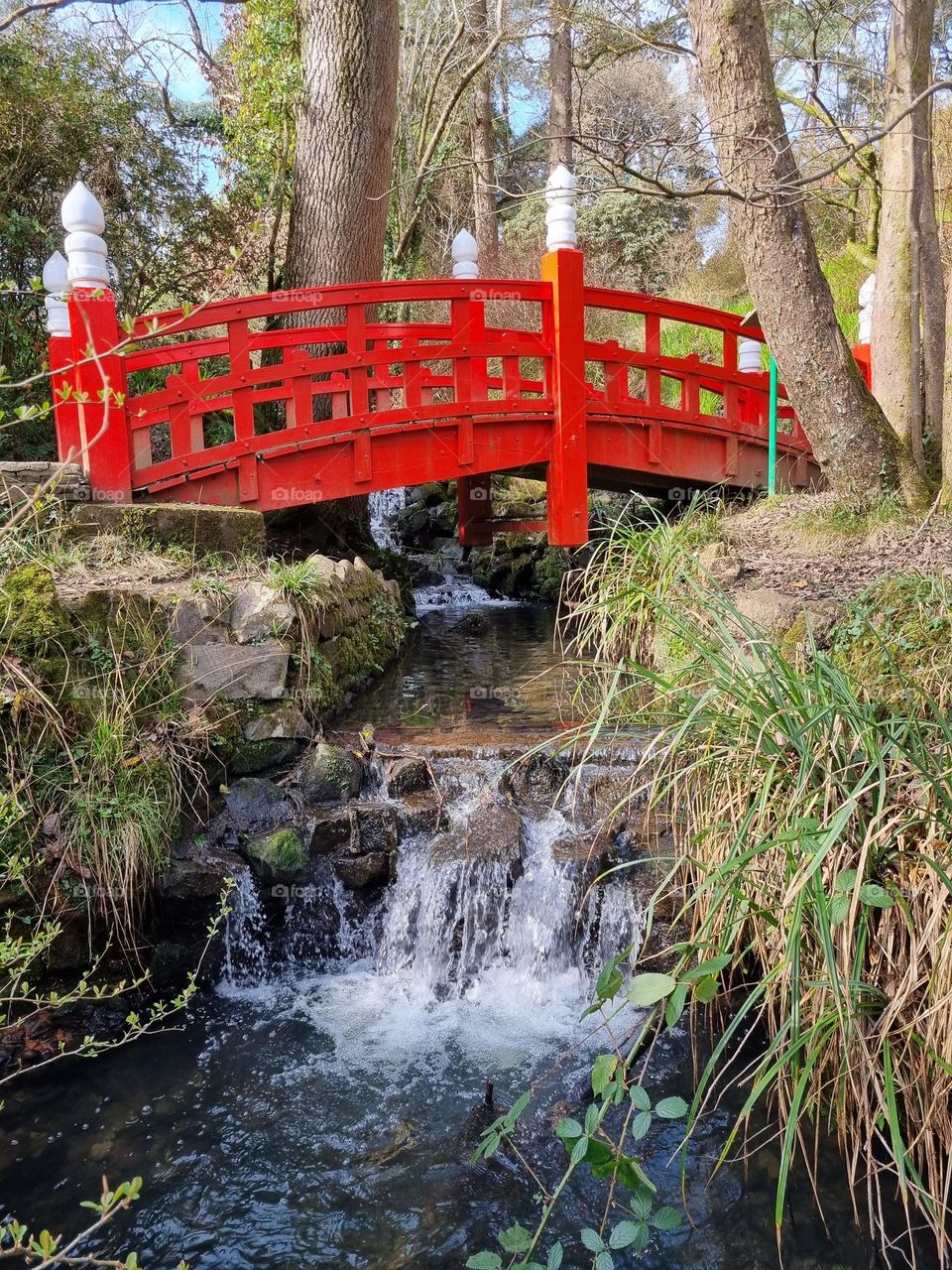 Japanese bridge