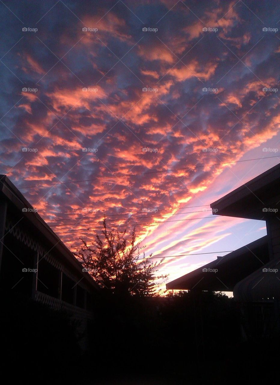 A beautiful Florida sunset reflecting off of the clouds.