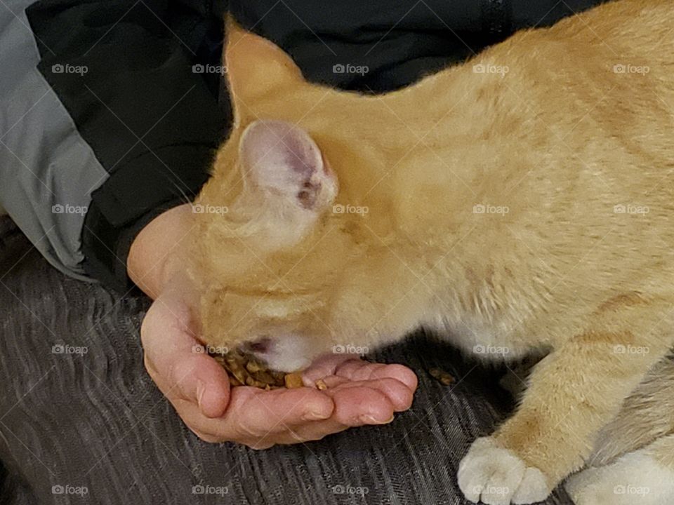 eating out of my hand
