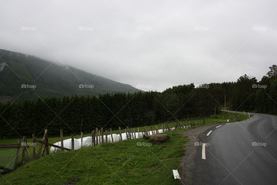 Summer vacation in lovely Norway. Norway is a mixture of all different kind of landscape all  at once.