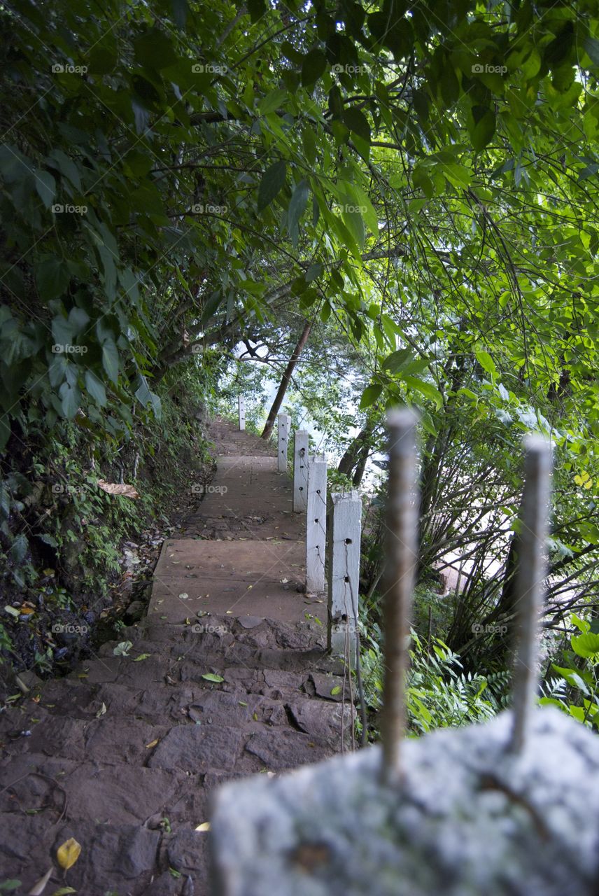 Hike to waterfall in Mexico!