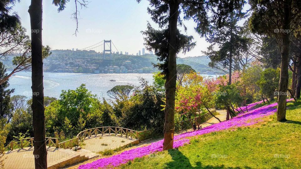 Bosphorus through the gardens