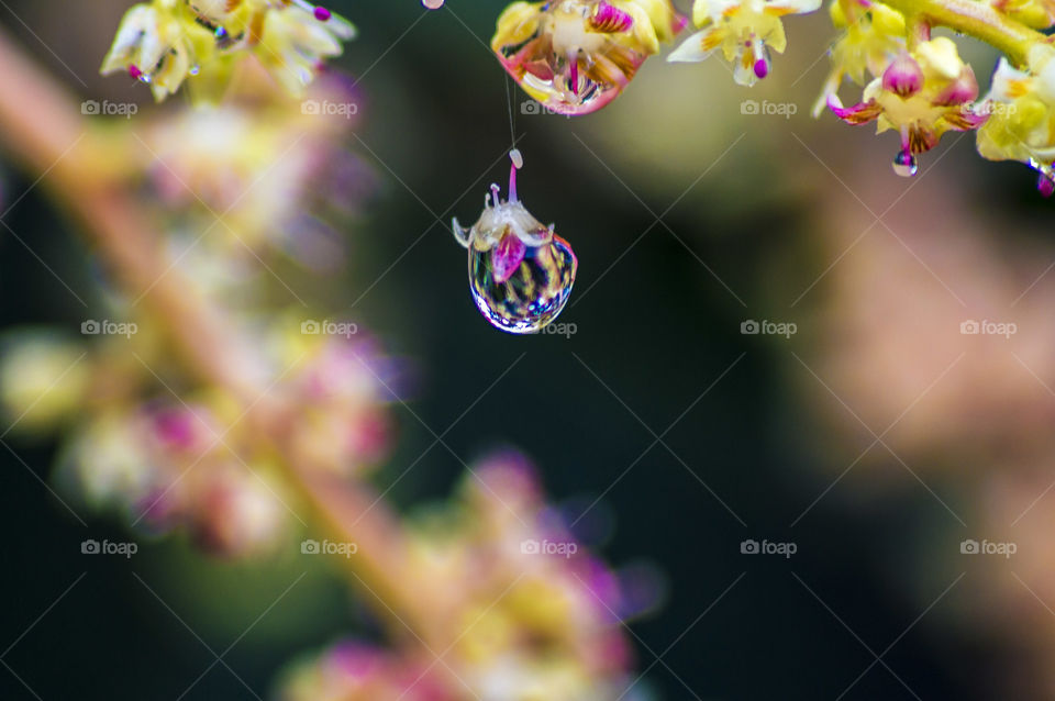 water drop