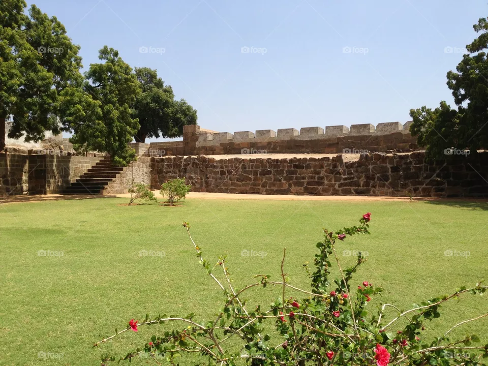 Kotta