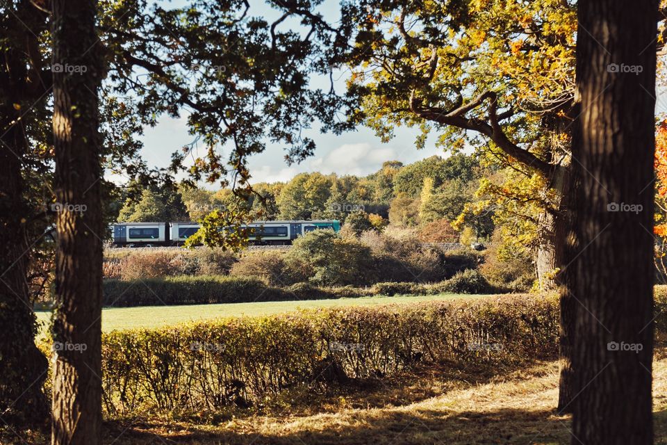 Train. Rural