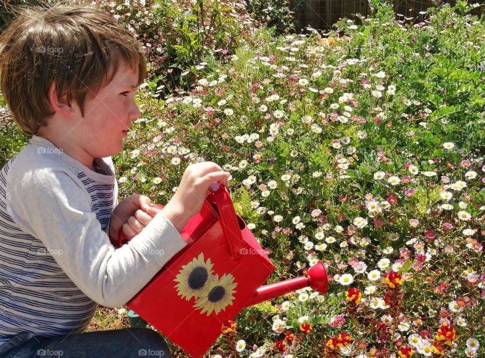 Young Boy In Garden Sunlight