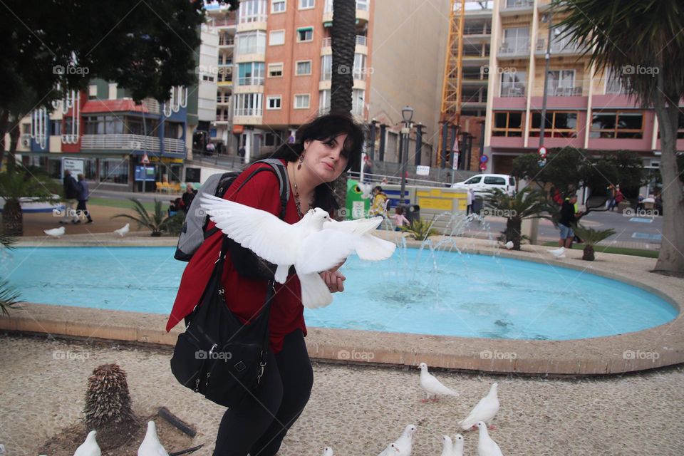 Hand feeding a white dove