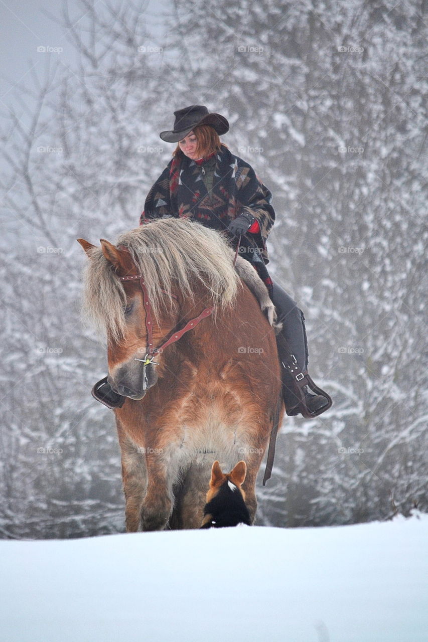 A girl on a big horse