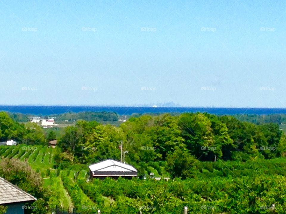 View of Toronto -Tawse winery