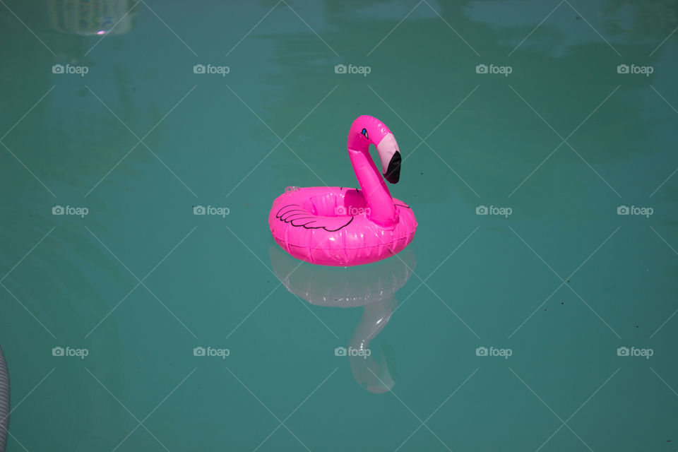 pink flamingo pool toy
