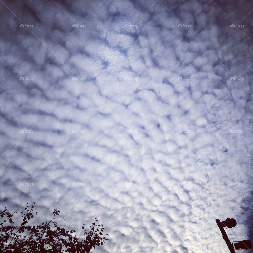 Mackerel Sky. Cirrocumulus clouds over Portland, Oregon
