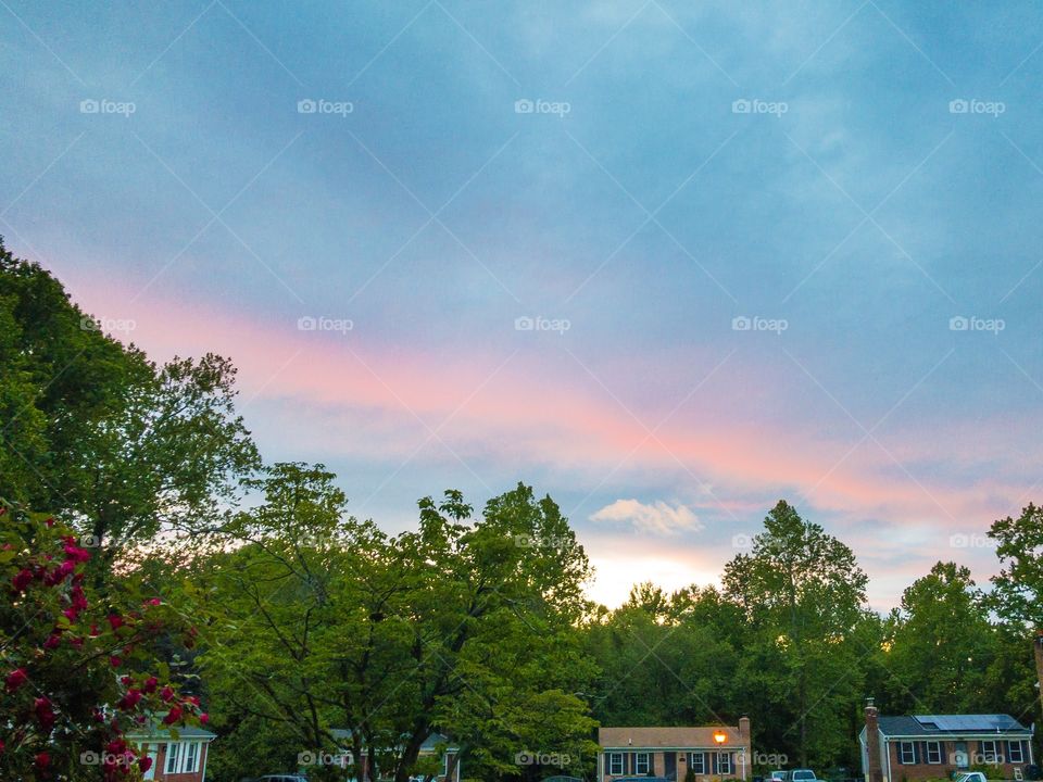 Neighborhood with blue and pink sky