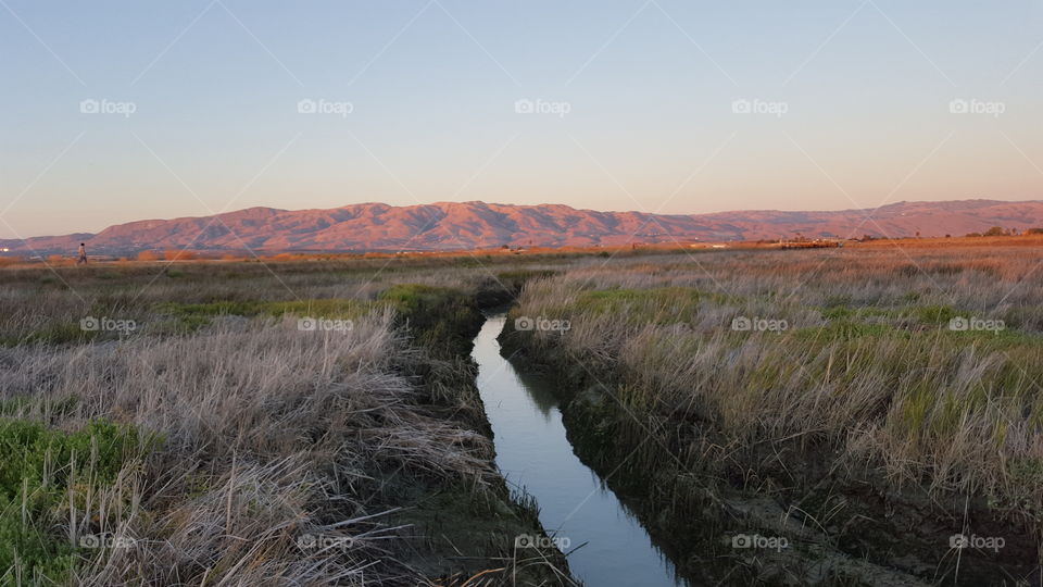Alviso marina