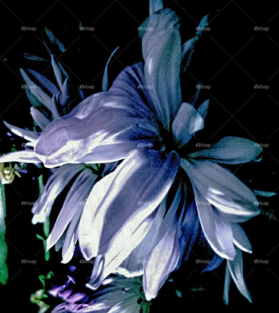 hidden treasures. lighting effects