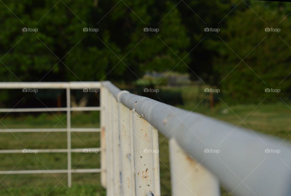 White pipe fence in Texas. 