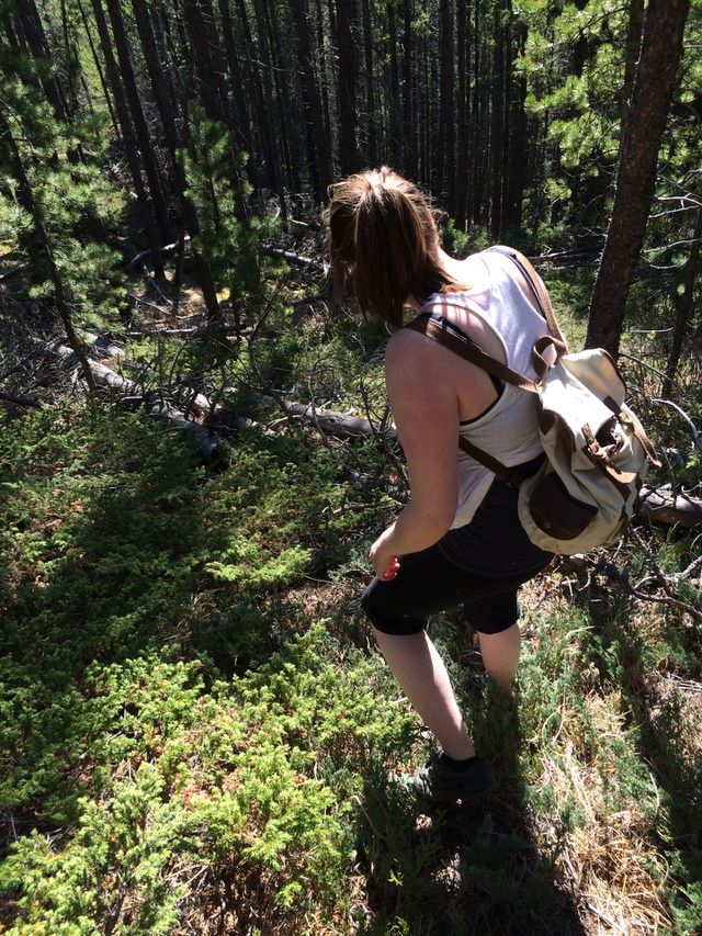 hiking down a mountain in kananaskis Alberta Canada