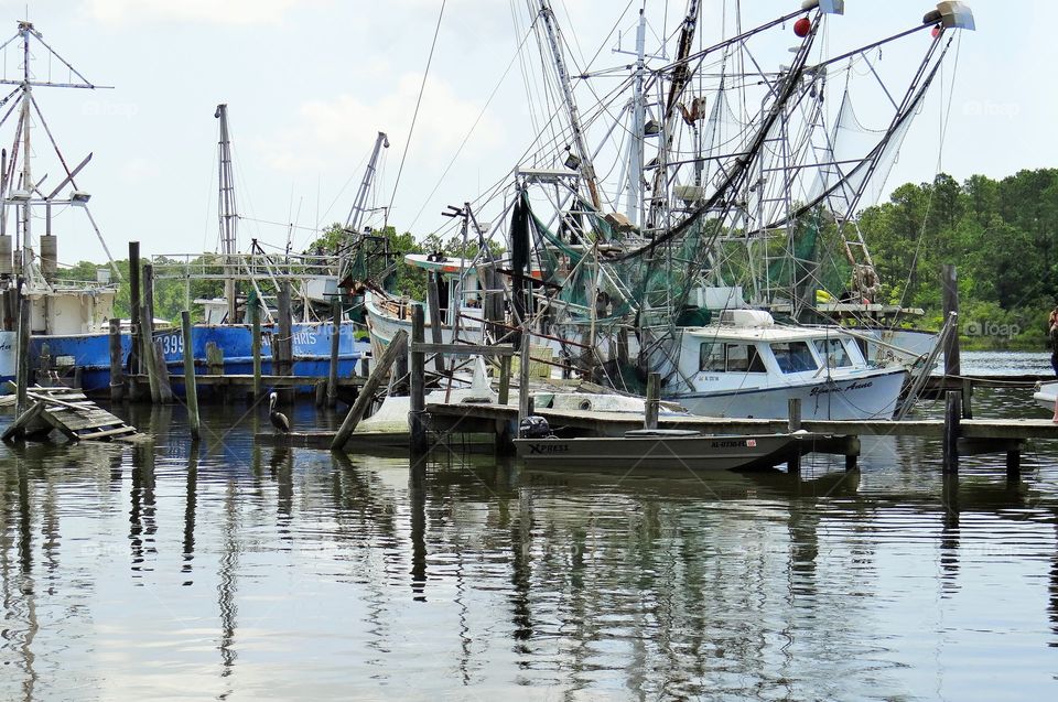 Shrimp Boats