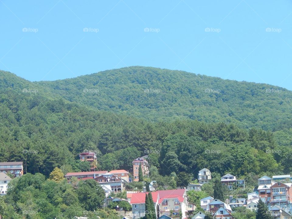 Кавказ сила