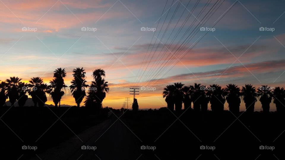 Atardecer entre palmeras. Denia.