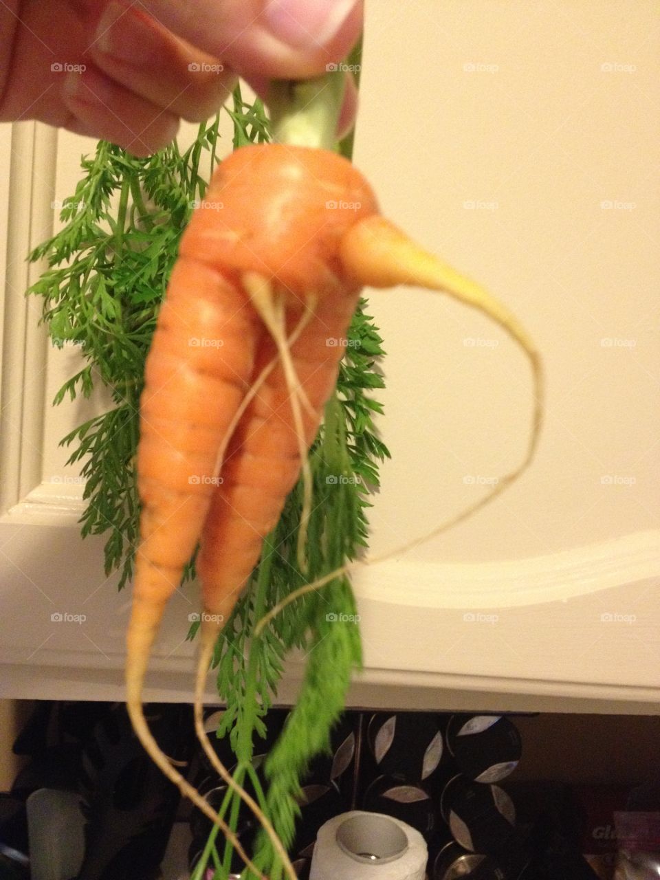 Funny carrot 