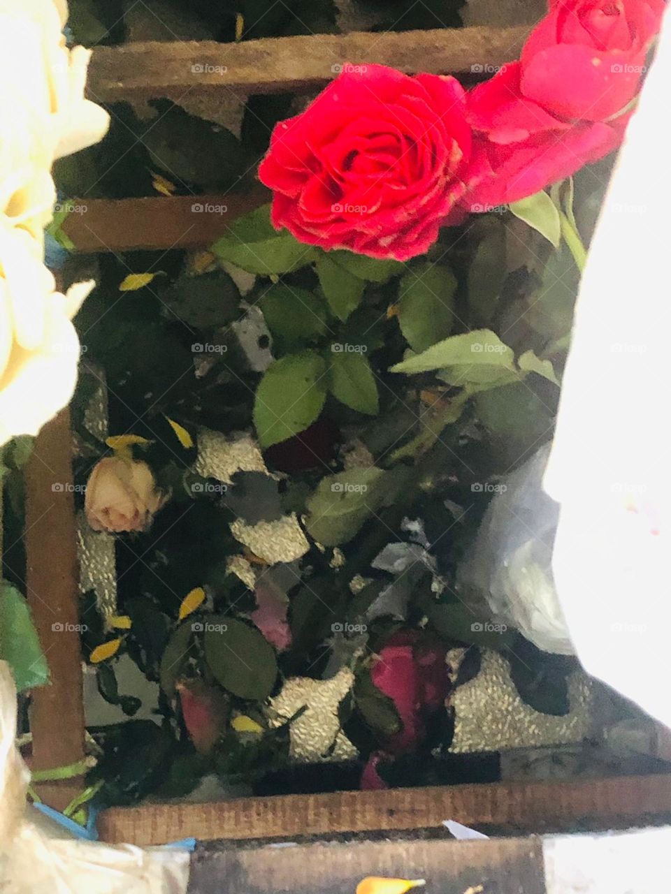 what part of the flower?