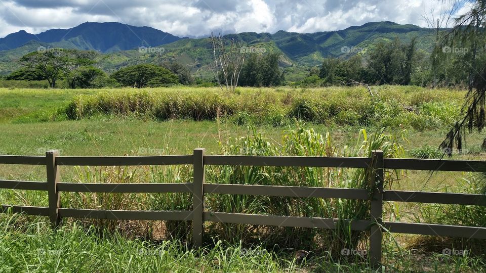 Fences, Fields and Mountains. A wooden fence separates the road from a field in the foothills of the Koolau Mountains on the North Shore of Oahu.