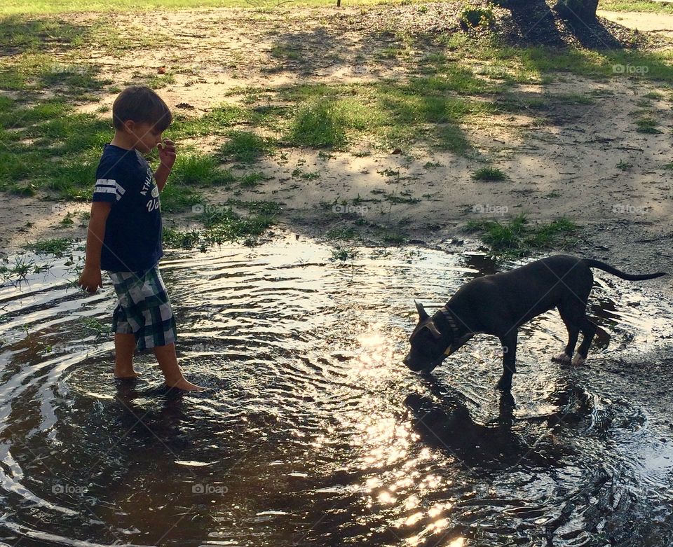 Muddy puppy 