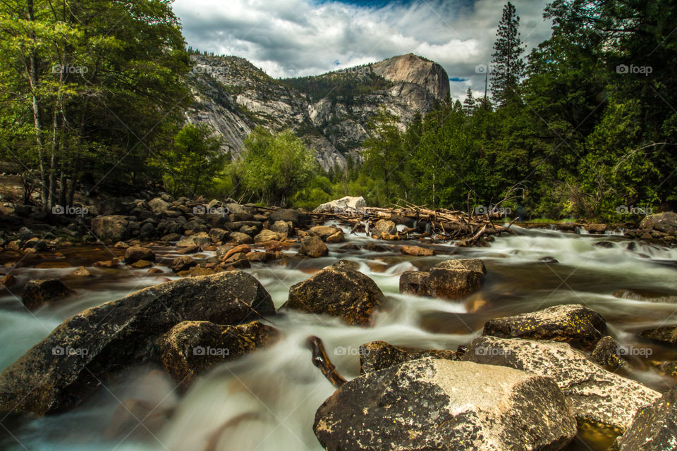 Yosemite national park 
