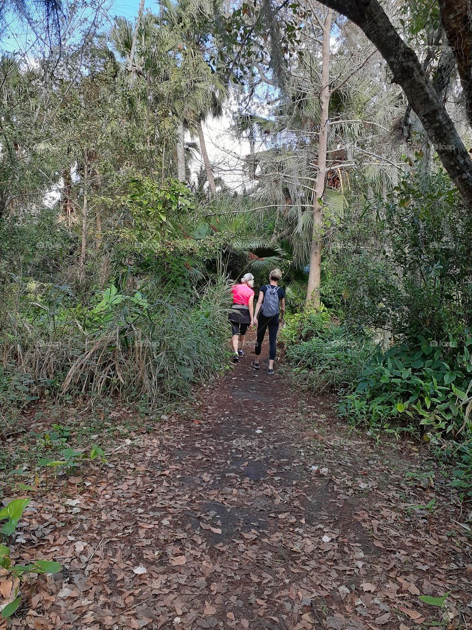 Two middle aged Caucasian women hike a trail at Mead Botanical Garden in Winter Park, Florida.