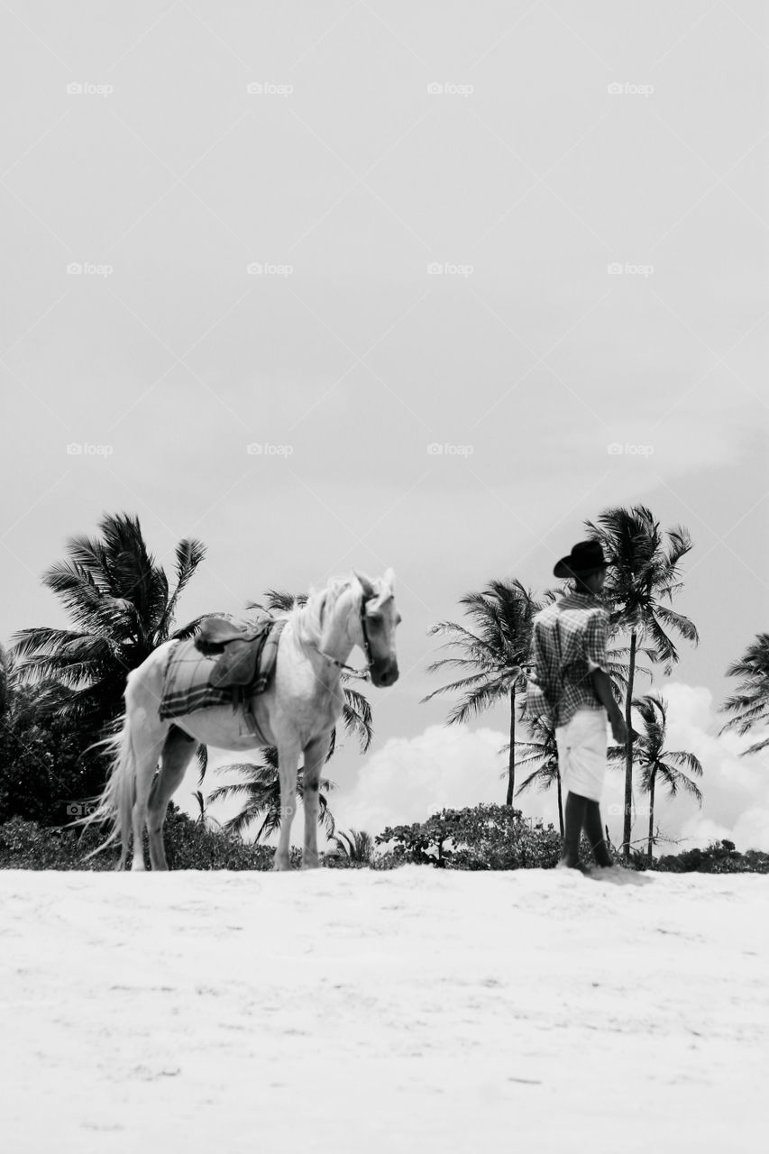 Man and a horse at the beach