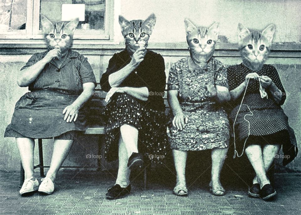 anthropomorphized kitties eating ice cream  as old ladies on a bench