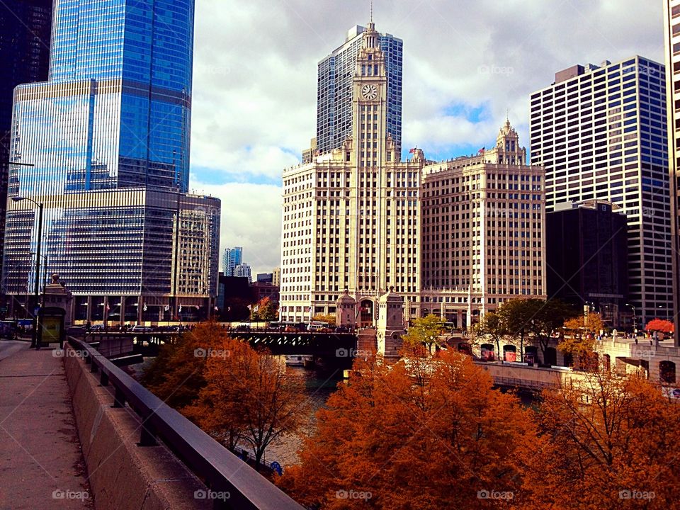 Chicago in the fall 