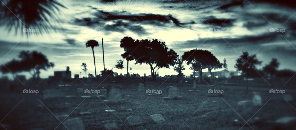 Graveyard in the evening