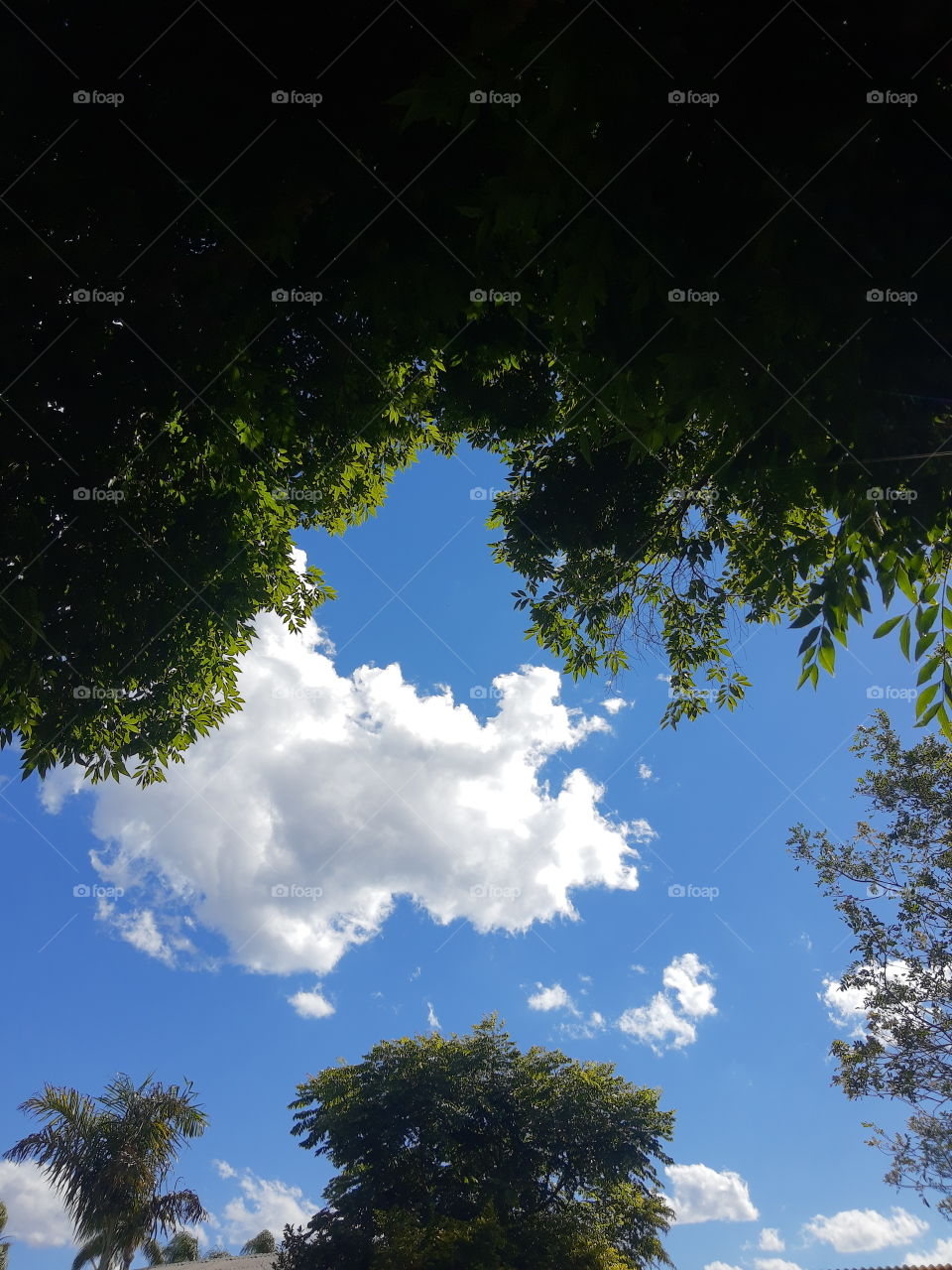 cloud in the blue sky