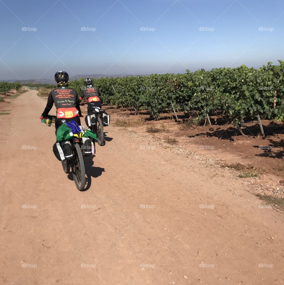 Caminho de Santiago de Compostela.