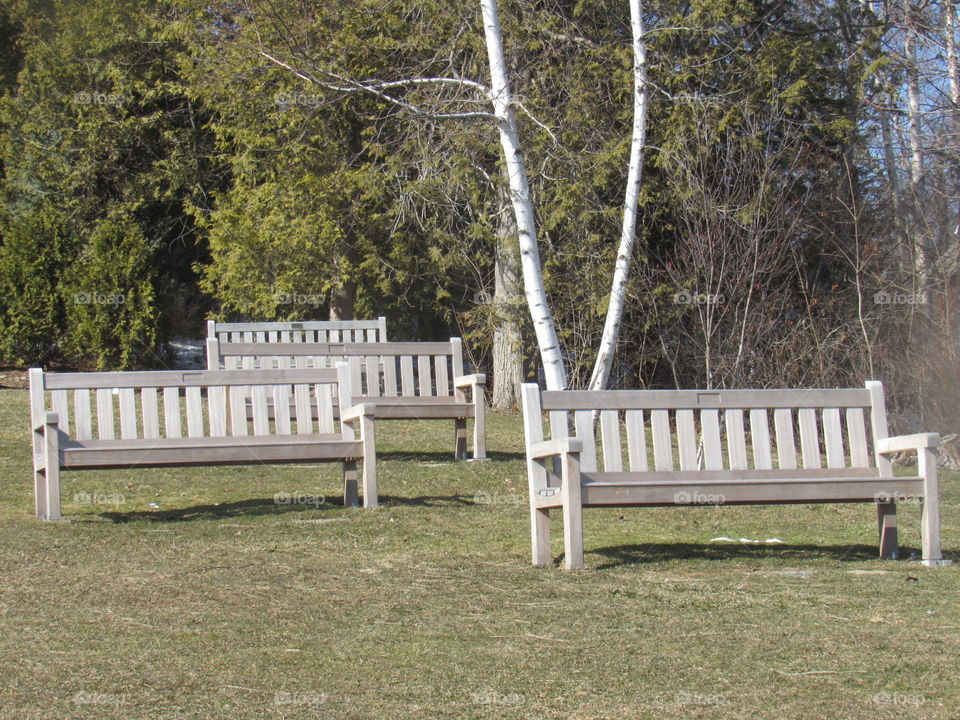 Bench