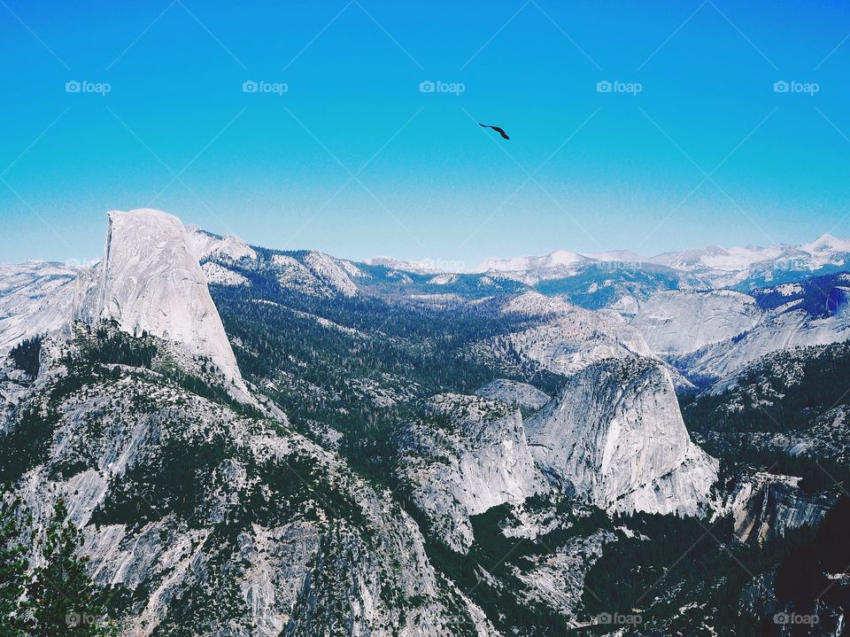 Glacier Point
Yosemite
California
Nature
National Park
Mountains
Nature
Wood
Tree
Bird