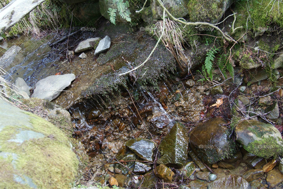 Aira Force