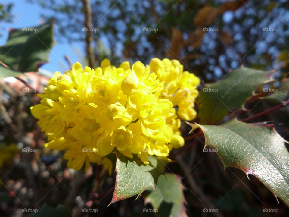 Spring in Sweden