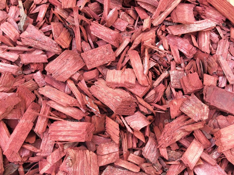 Red tree bark