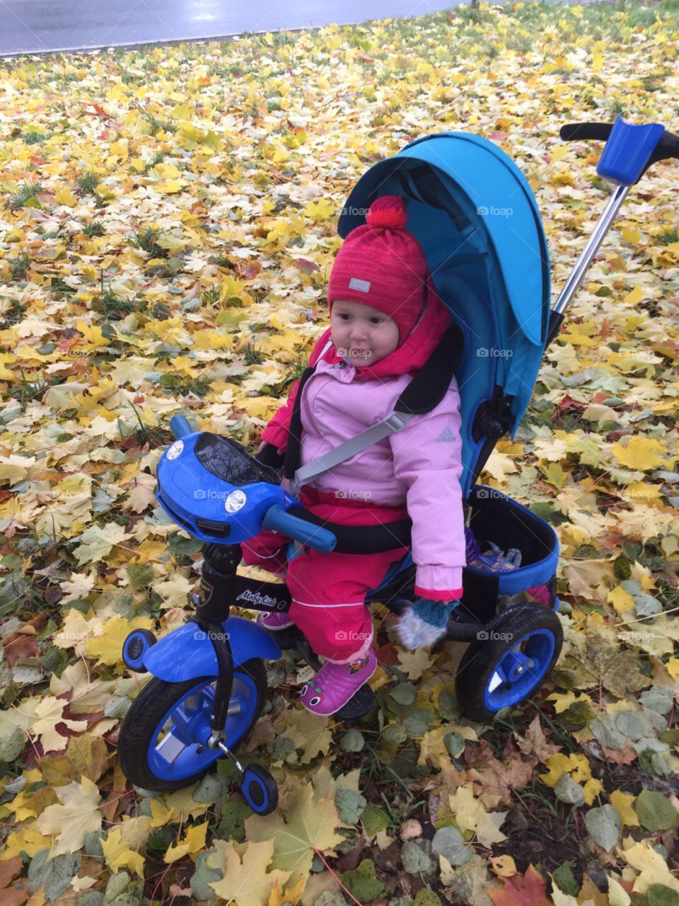 Девочка на прогулочном велосипеде осенью на фоне опавших листьев 