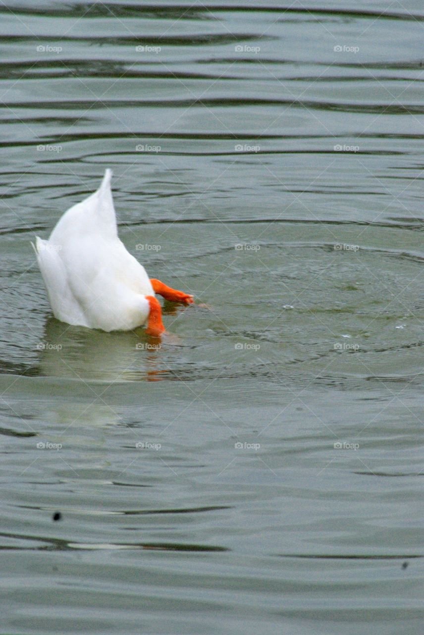 Seeing what is on the otherside can really give one a different perspestive in life.