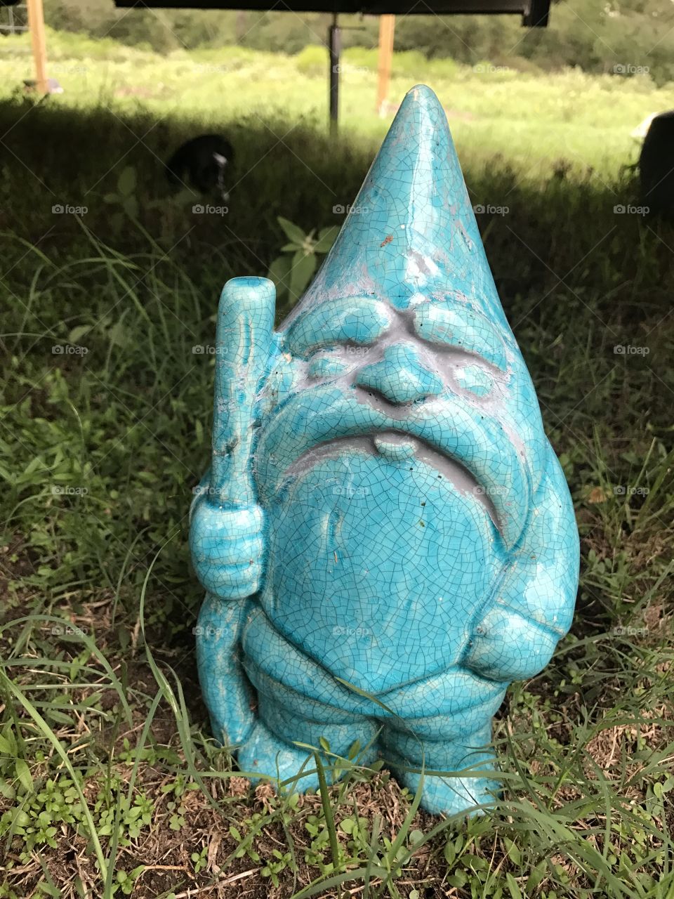 Fred the Gnome Steader