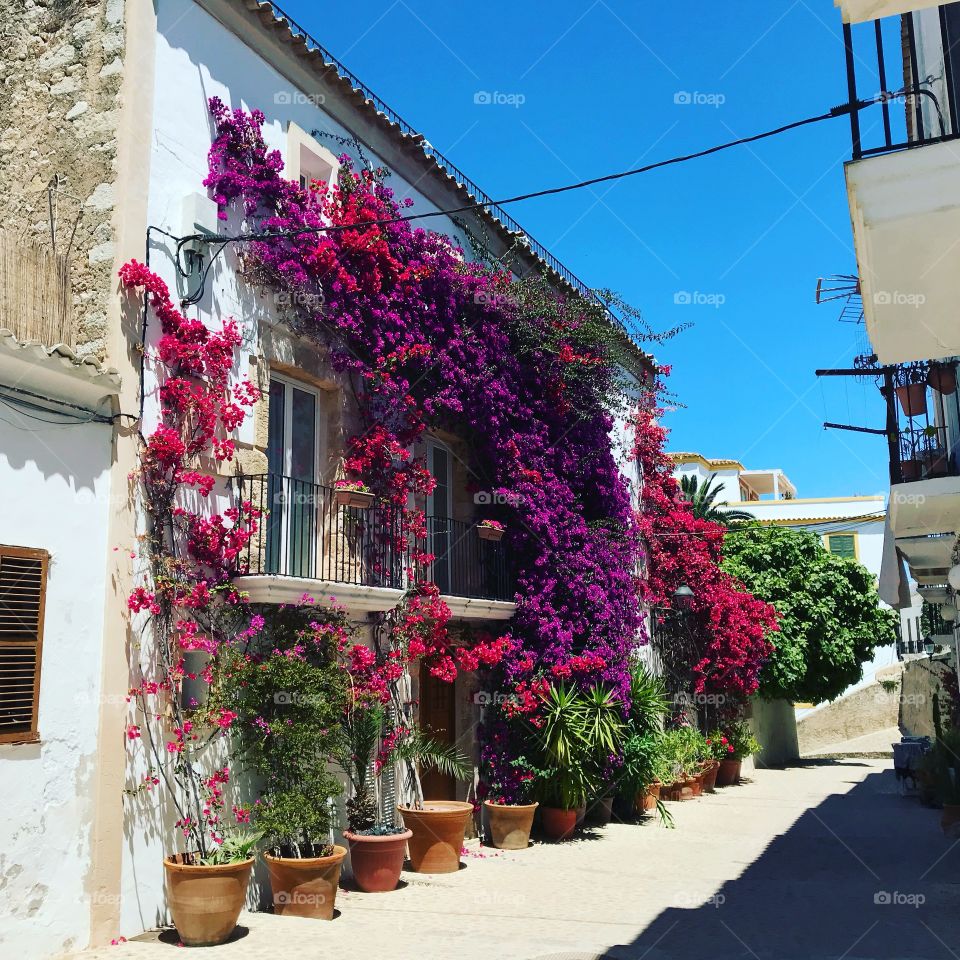 Ibiza town house of flowers