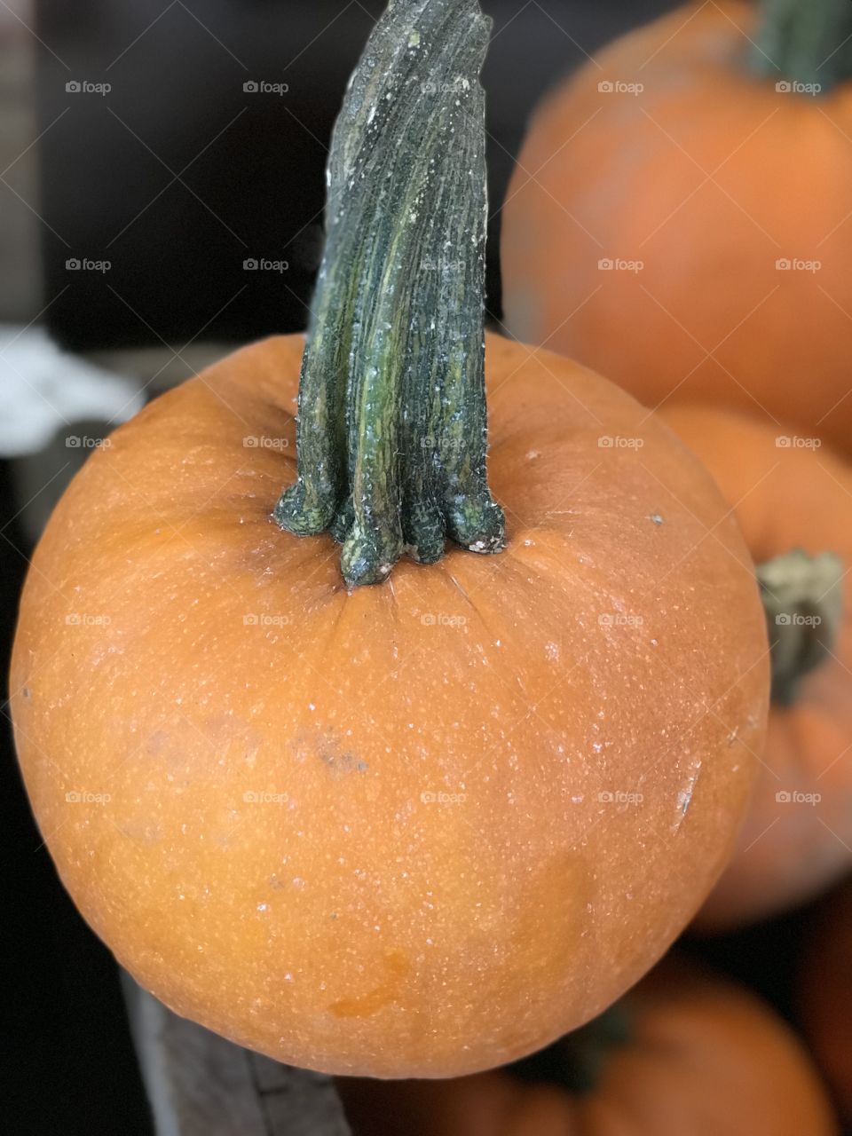 Autumn’s first pumpkin 