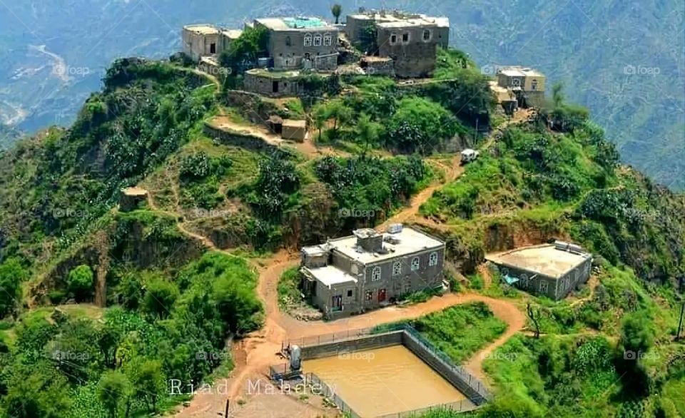 A very beautiful picture, and there is no better picture than it. There is no better picture of green herbs and colorful, red and white roses than it. Glory be to God, the natural and picturesque view, and there is no more