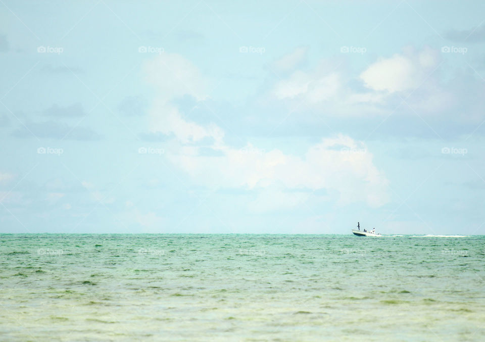 Fishing on the horizon 