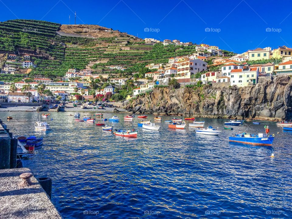 Madeira Island - Câmara de Lobos bay - Portugal 