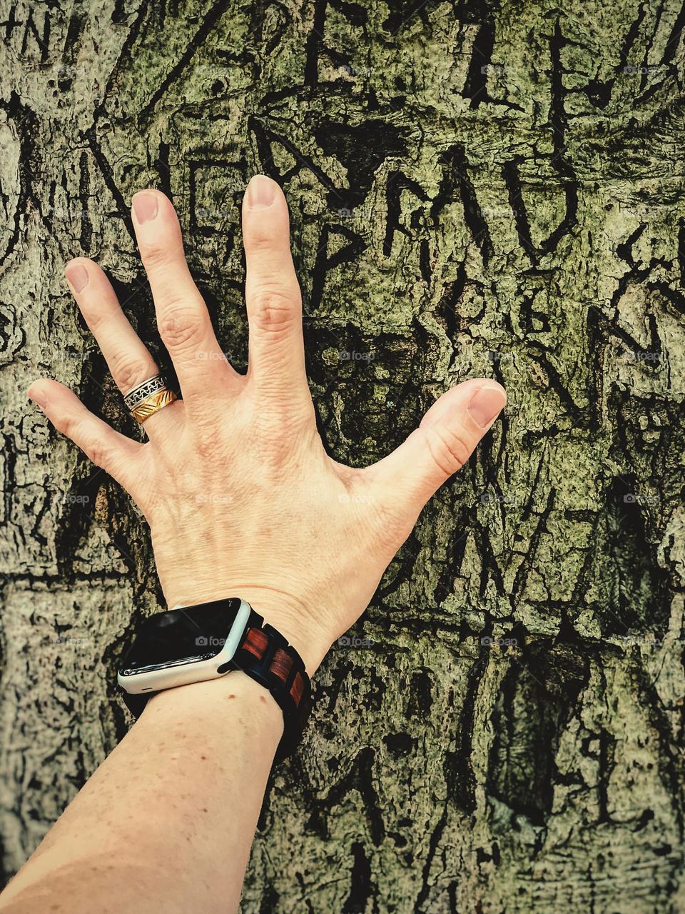 Hand touching graffiti carved into a tree, woman’s hand in the forest, woman’s had touching the tree, hand feeling bark, walking in the woods