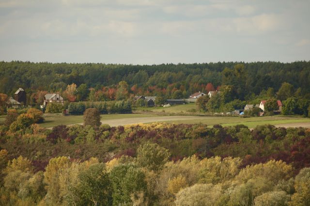 Autumn 